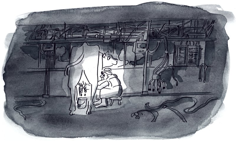 vache-trait.png
