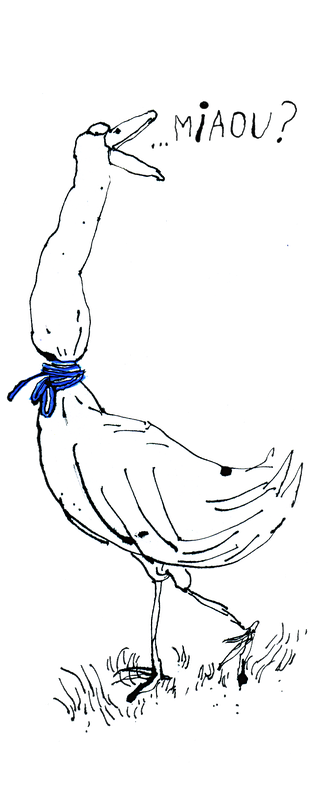 vasectomie-operation-erection