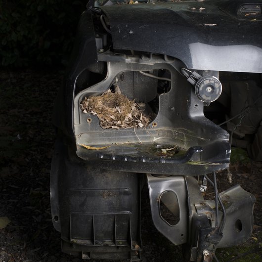 voiture3-3.jpg