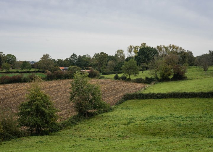 xhendelhesse_004
